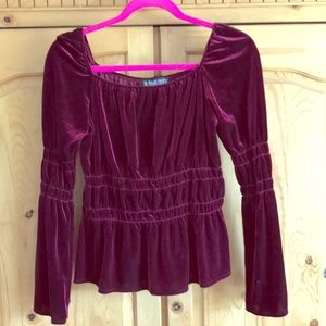 Velvet off the shoulder top- NWOT
